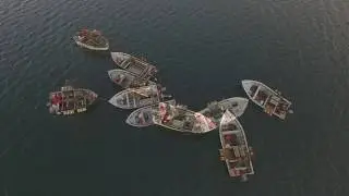 DRONE footage of fishermen jiggin' Squid