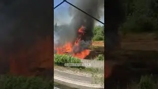 Toshkent Botanika bogʻi Yondi Tez Ko'ring Fojia Тошкент Йонгин