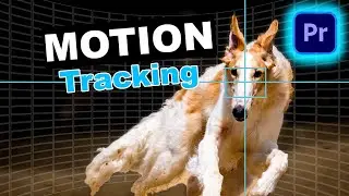 HOW TO DO MOTION TRACKING EFFECT IN PREMIERE PRO