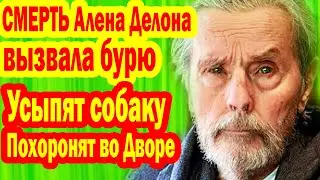 КОНЕЦ ЭПОХИ! Умер Ален Делон, Общество НЕГОДУЕТ - Последняя Воля актёра ВЫЗВАЛА ШОК!