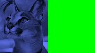 ГРУСНЫЕ ЛИЦА(НОВЫЕ ВЕРСИИ) МЕМ GREEN SCREEN
