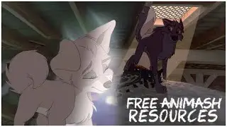 FREE Mini pack Animash Resources (August 2023) [Credit me please]