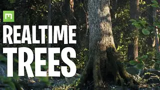 Realtime Realistic Trees - Early Access!