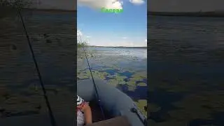 рыбалка на озере Селява. Рыбачим с лодки на поплавок. 