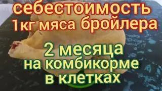 Себестоимость мяса бройлеров. Сколько стоит 1 кг. мяса бройлеров(у меня), на комбикорме.