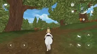 WHAT I DO WHEN I LOG ONTO SSO | Phoebe Starluck | Star Stable Mobile