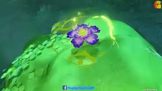 [Sumeru Guide] [Sumeru Guide] Use the Kusava to break the seal on the Barsam Flower 1/3