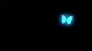 Glow Single butterfly flying black screen effect, No copyright - free video, NP Creative