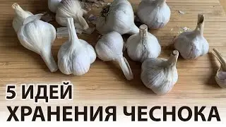 Как и где хранить чеснок на зиму в домашних условиях в квартире