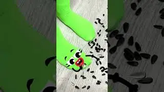 Life Doodles | The sock is gnawing on the seeds 😂 #lifedoodles #doodle #shorts #cartoon #shortvideo