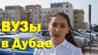 Образование в Дубае, университеты Дубая