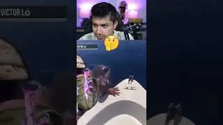 PUBG IRL... #pubgmobile #bgmi #shorts