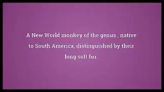 Titi Meaning