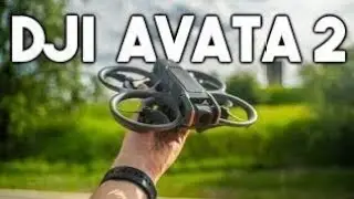 Dji Avata 2 Drone Forest Test.