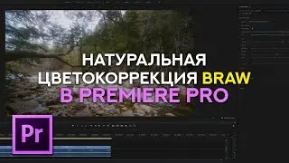 Натуральная цветокоррекция BRAW в Premiere Pro - Уроки видео монтажа