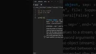 How to run a Python script in VS Code 