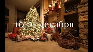 Новогодняя распродажа курсов Гермополя!