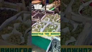 Виноград. Покупки на рынке Ташкент Узбекистан 