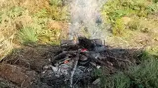 Дачный домик.