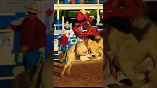 PRCA OAKLEY RODEO 🧲 BRONC RIDER STEVEN PEEBLES RIDES #shorts #viral #prca #prorodeo