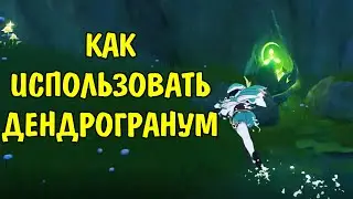 Как использовать Дендрогранум / How to use Dendrogranum Genshin Impact