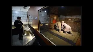 В Японии рассекречены данные членов 