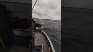 На попперы в непогоду... #Рыбалка #fishing #shorts