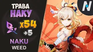 ALL NAKU WEEDS - FARMING ROUTE LOCATIONS | GENSHIN IMPACT