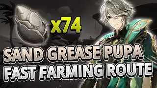 Sand Grease Pupa 74 Locations FAST FARMING ROUTE +TIMESTAMPS | Genshin Impact 3.4