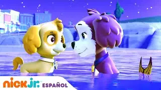 Paw Patrol, Patrulla de cachorros | ¡Los cachorros se convierten en cachorros sirenas! | Nick Jr.