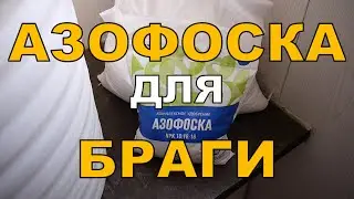 Подкормка браги АЗОФОСКОЙ. ГХ анализы сырца.