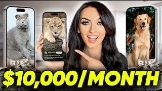 Make $10,000/Month Reposting Animal Videos (HOW TO START NOW)