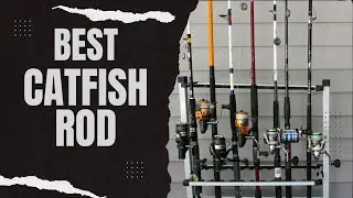 Best Catfish Rod in 2023 [Top 5 Reviews & Buying Guide]