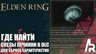 Elden Ring: Shadow Of The Erdtree КАК НАЙТИ 9 СЛЕЗ ЛИЧИНКИ В DLC.