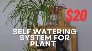 Self Watering System For Plant Under $20 With Raspberry Pi