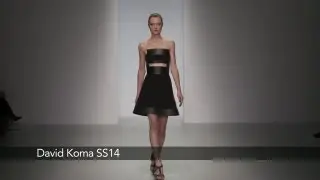 David Koma London Fashion Week show: David Koma SS14 Collection
