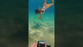 a successful photoshoot with beautiful mermaids 