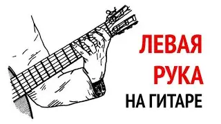 Левая рука на гитаре. Постановка большого пальца левой руки