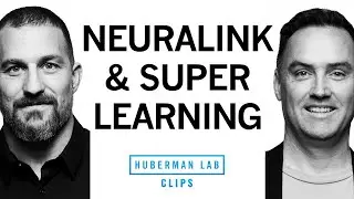 What Neuralink Is Really Working on | Dr. Matt MacDougall & Dr. Andrew Huberman
