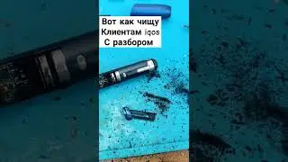 как вы чистите свой 