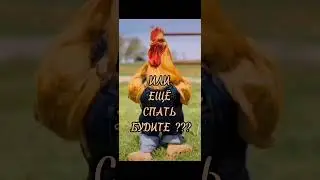 Доброе Утро !!!