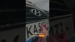 Набір очисник слідів комах та очисник поверхонь автомобіля!