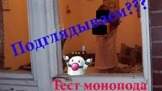 Подглядываем в окно ТЕСТ МОНОПОДА