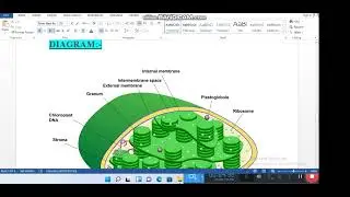 GSC101 ASSIGNMENT NO  2 SOLUTION