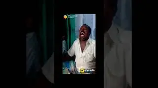 Satu Untuk Semua 