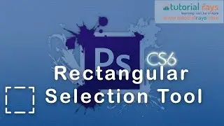 Part -  4  Rectangular Selection Tool |  How to use Rectangular Selection Tool in Photoshop CS8