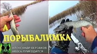 А порыбалимка. Закрываем рыболовный сезон 2018.