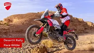 Ducati DesertX Rally | Race Wilder