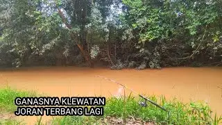 Mancing ikan Baung Terganas_joran Terbang Terbang Sampai Hilang.