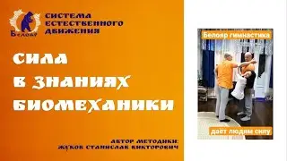 Сила в знаниях биомеханики